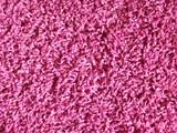 100_0046.jpg
