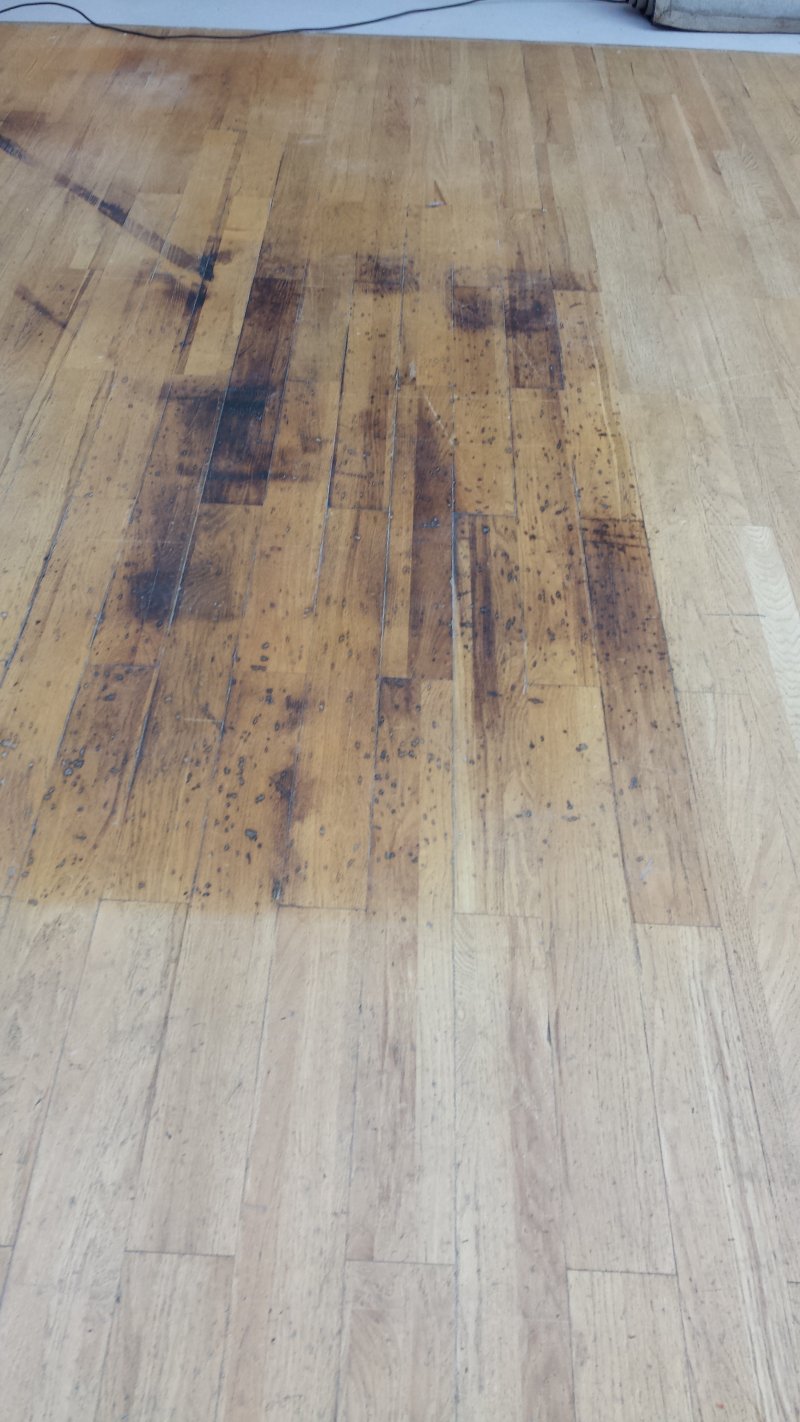 20150417_101913.jpg