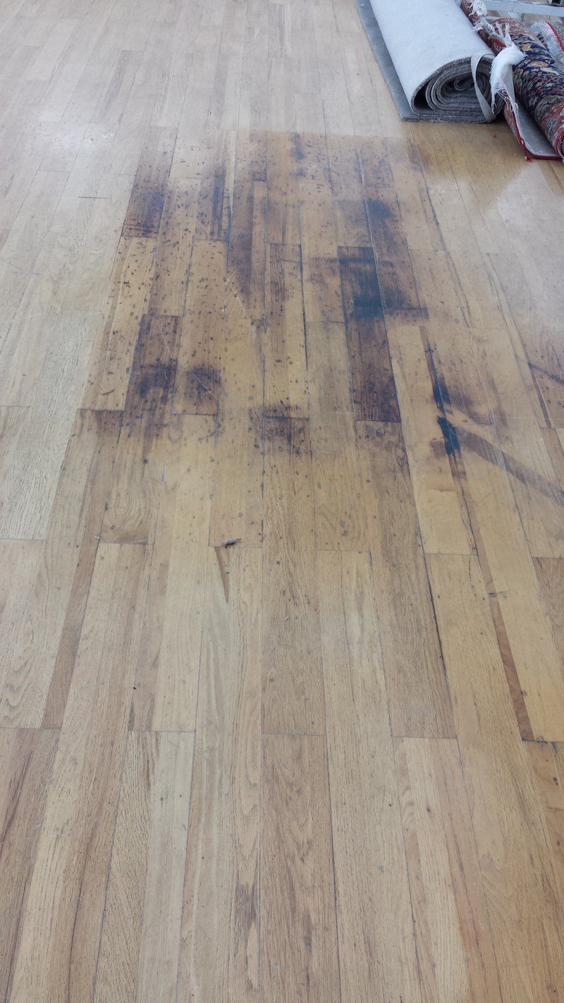20150417_101937.jpg