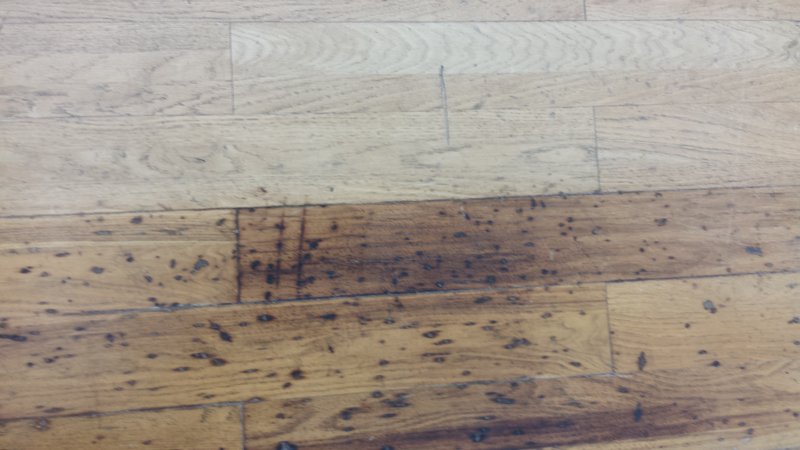 20150417_101955.jpg