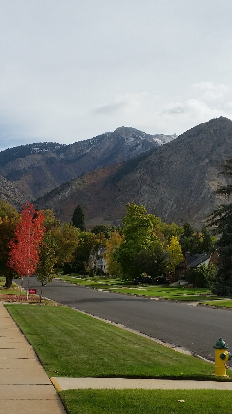 20151031_114753.jpg