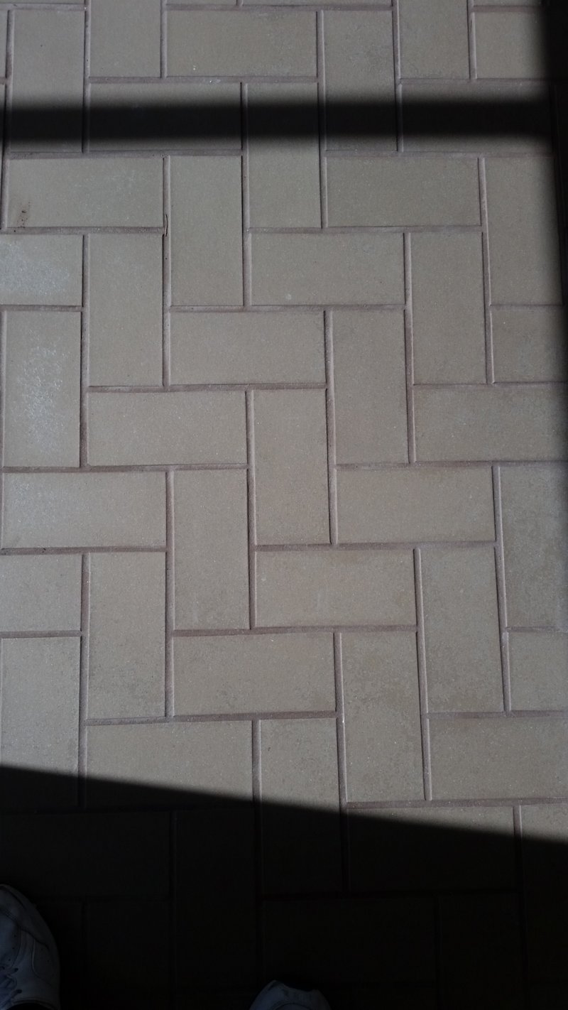 20160810_105241.jpg