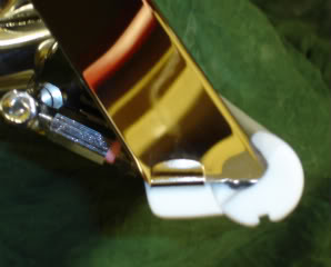DSC02890.jpg