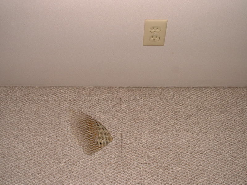 DSCF0006.jpg