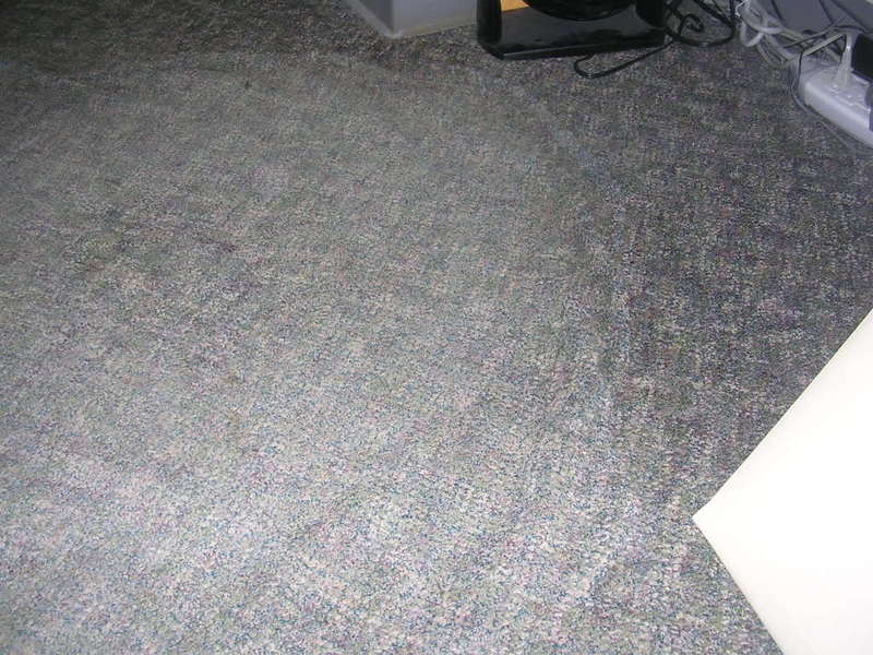 DSCN1916.jpg