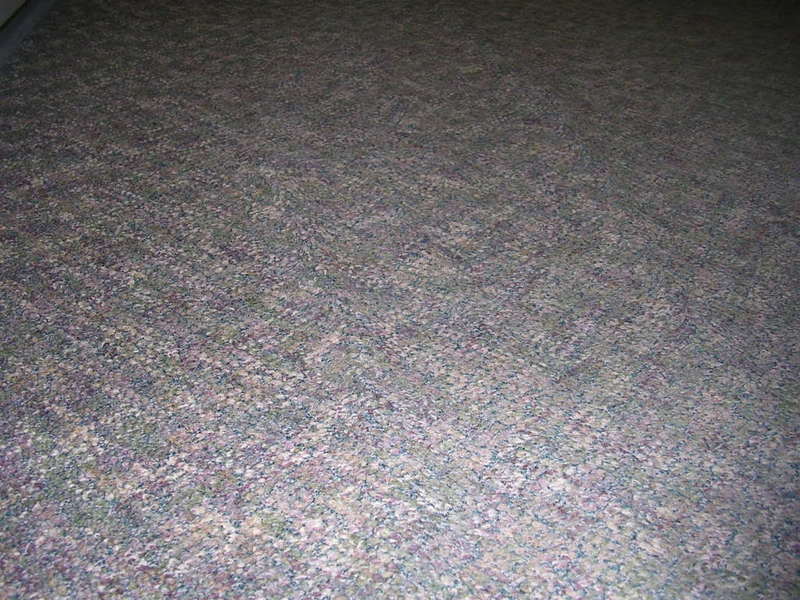 DSCN1917.jpg
