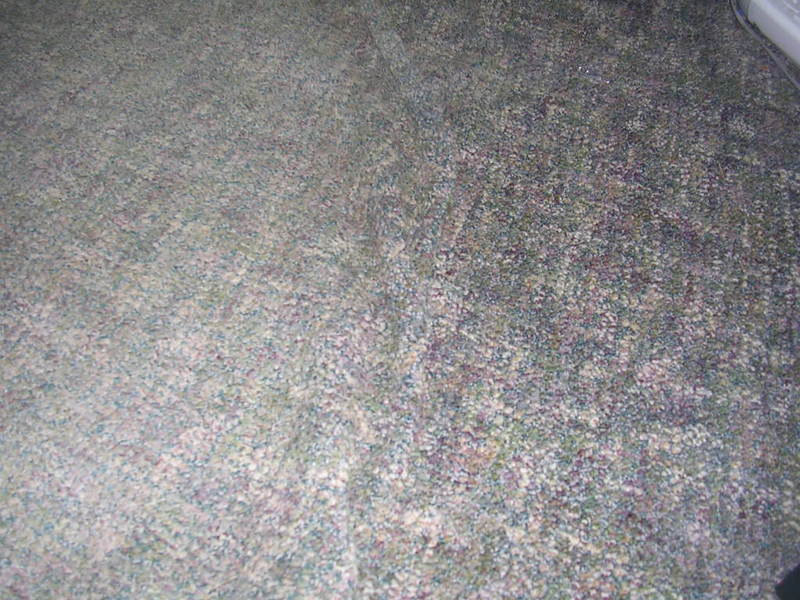DSCN1920.jpg