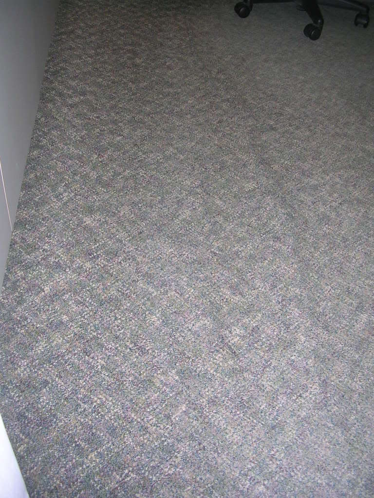 DSCN1921.jpg