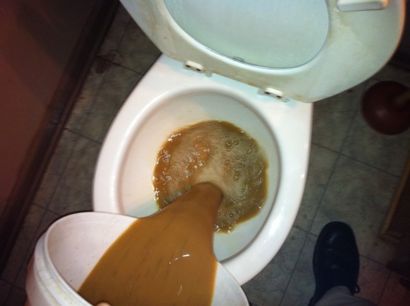 image.jpeg