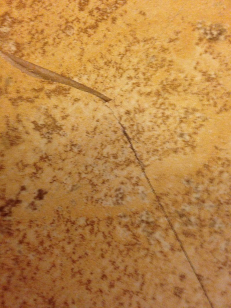 image.jpeg