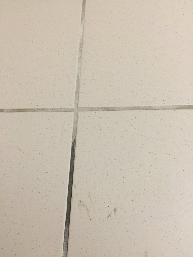 image.jpeg
