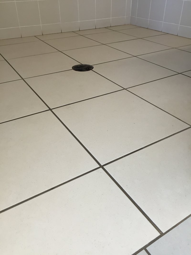 image.jpeg