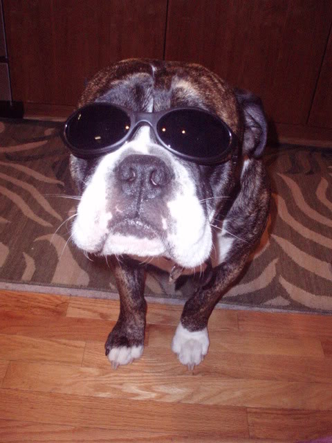 jcglasses005.jpg