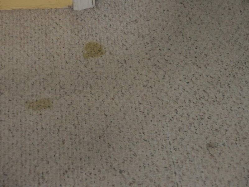 P8150400.jpg