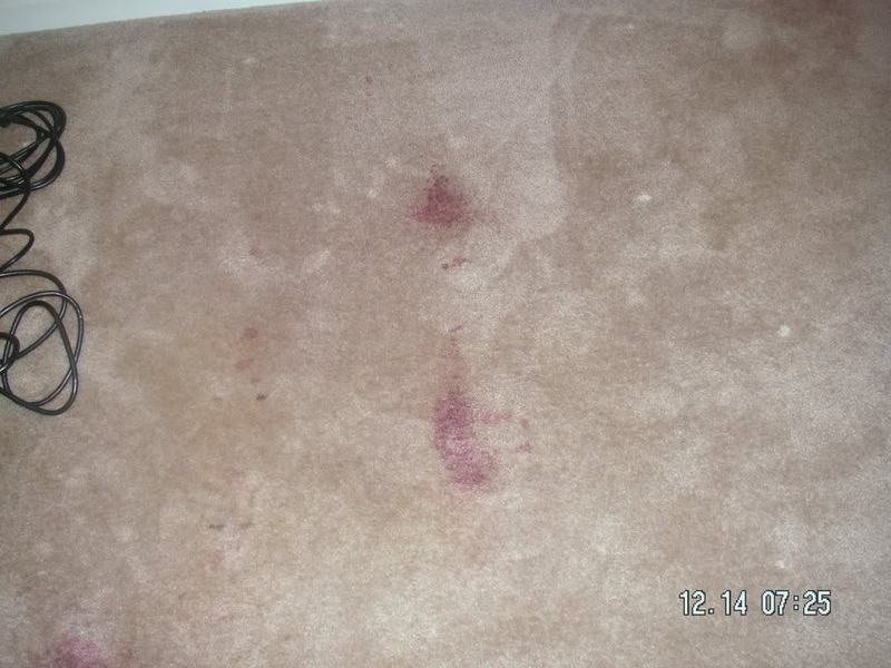 PICT0002.jpg