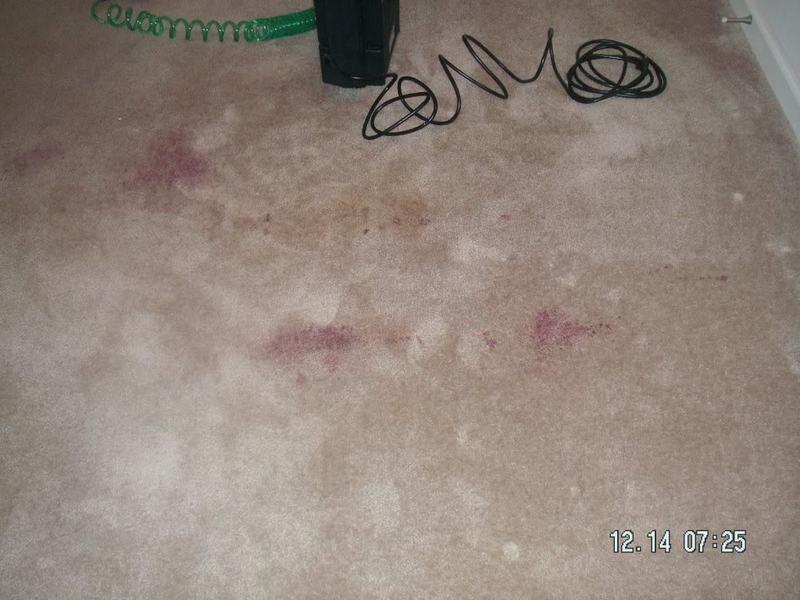 PICT0003.jpg