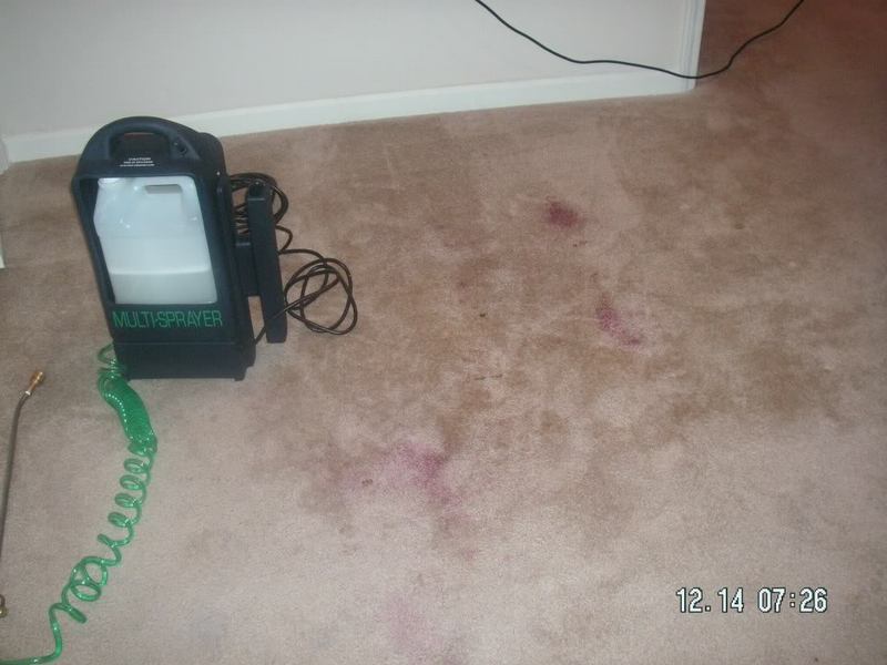 PICT0004.jpg