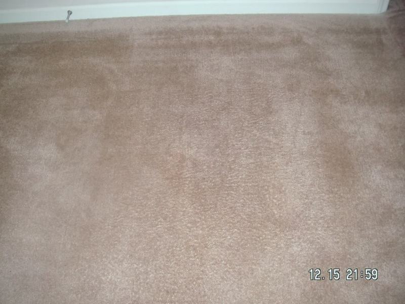 PICT0006.jpg