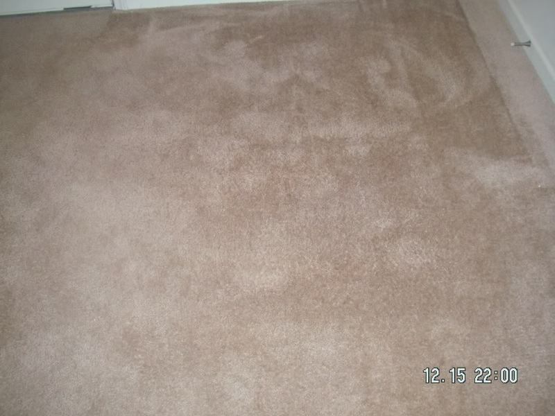 PICT0007.jpg