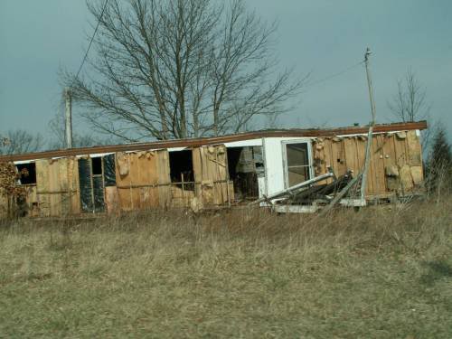 Picture_0081.jpg