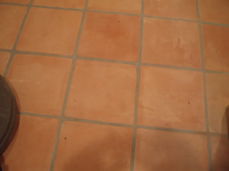 saltillo004.jpg