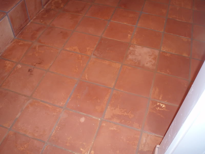 saltillo010.jpg