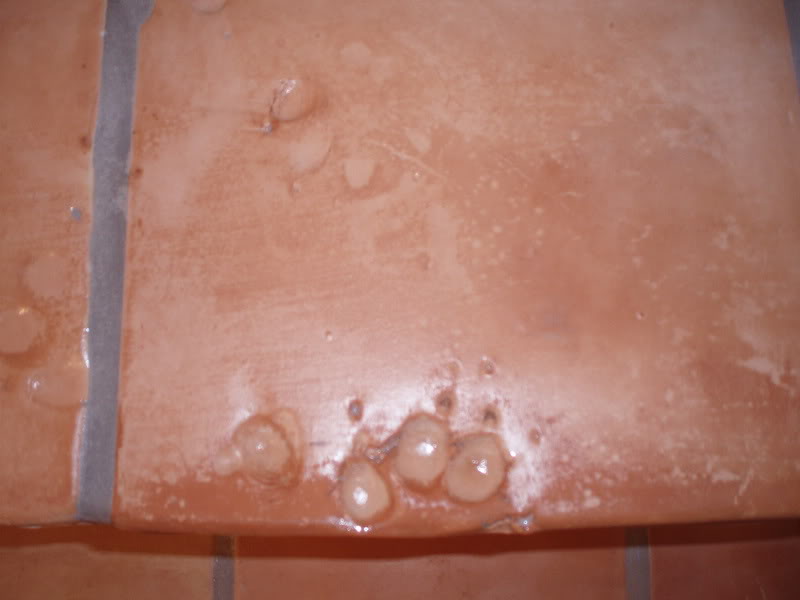 saltillo2003.jpg