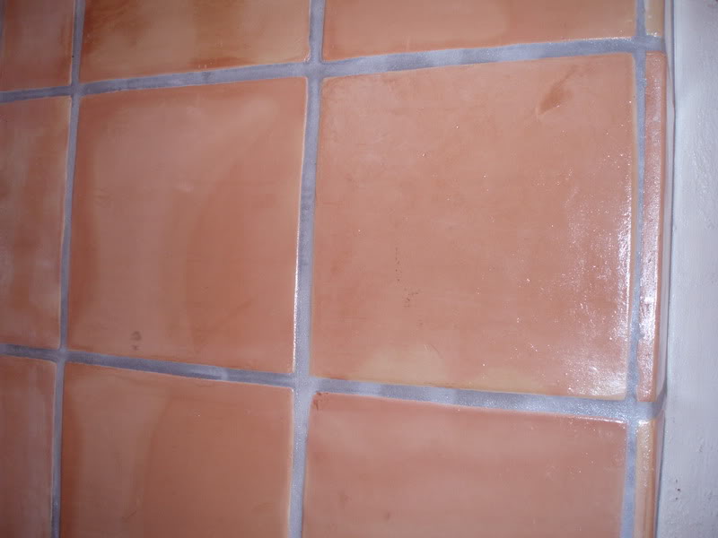 saltillo2005.jpg