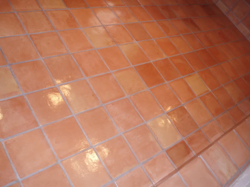 saltillo2007.jpg