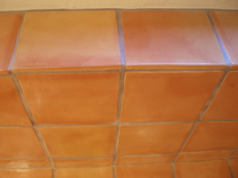 saltillo2010.jpg