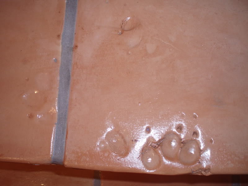 saltillo2011.jpg