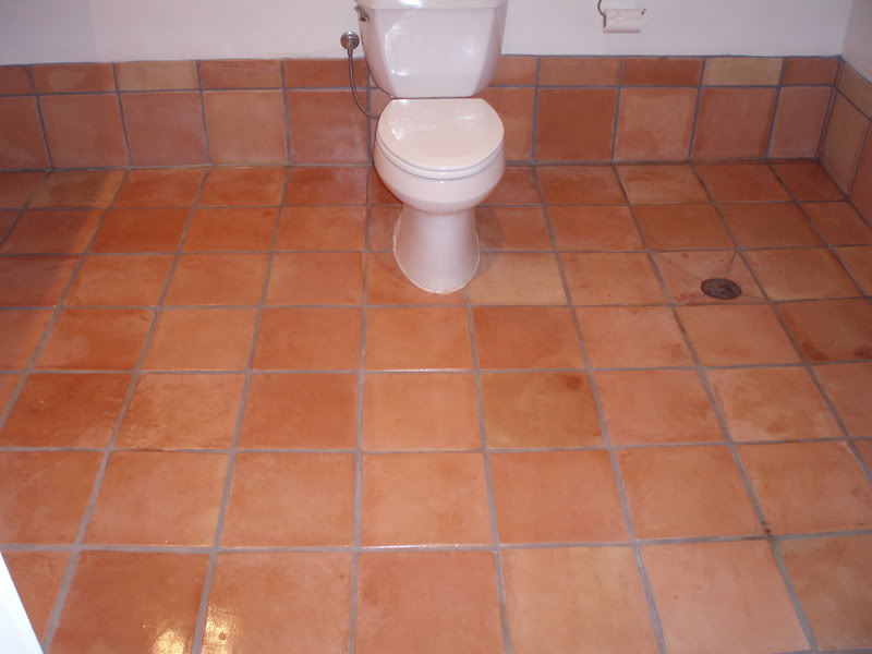 saltillo2012.jpg