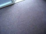 th_greenie005.jpg