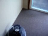 th_greenie006.jpg