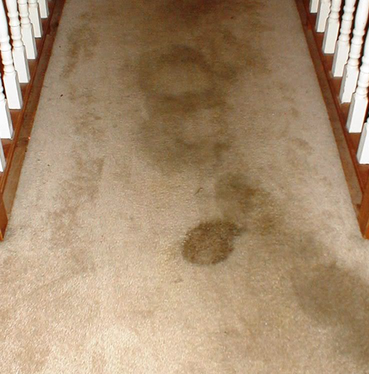 walkbefore.jpg